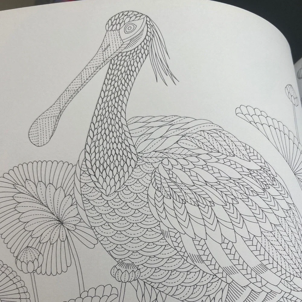 New‎ - Millie Marotta Tropical World Coloring Book Adventure Adults Nature Birds